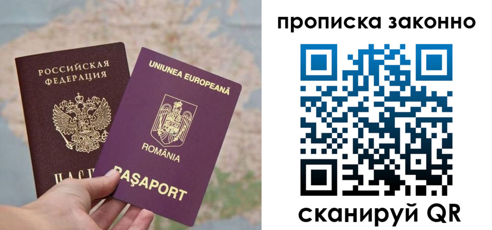 прописка гарантия в Твери